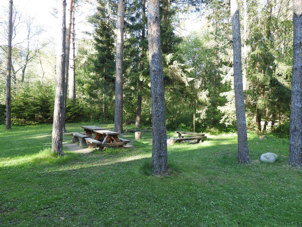 Chata Dasa High Tatras Mlynceky Buitenkant foto
